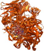 Conformational sampling